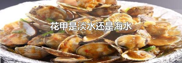 花甲是淡水还是海水