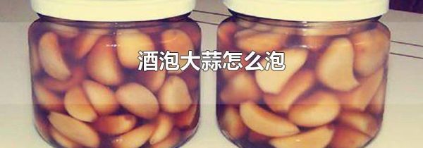 酒泡大蒜怎么泡