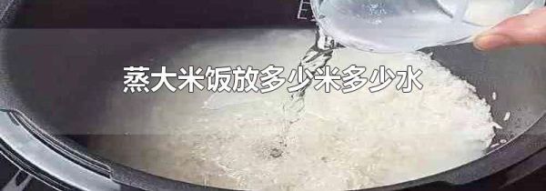 蒸大米饭放多少米多少水