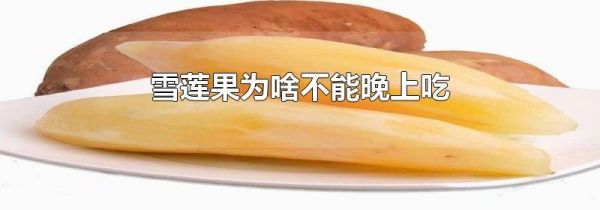 雪莲果为啥不能晚上吃