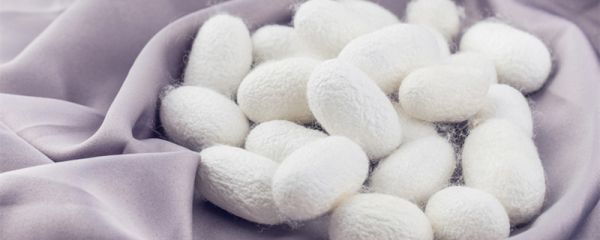 mulberry silk是什么面料 mulberry silk是什么面料做的