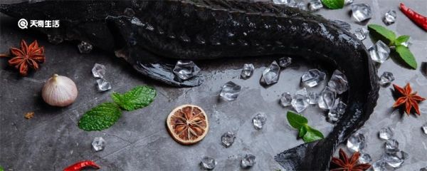 黑鱼又叫什么鱼名称 黑鱼又叫什么鱼