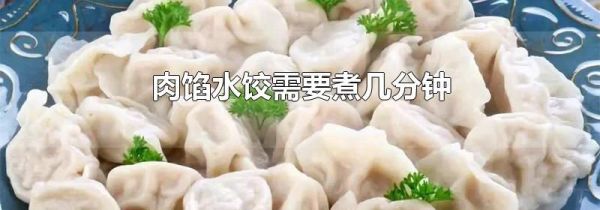 肉馅水饺需要煮几分钟