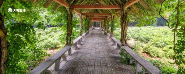 一个雅致的小院名字 雅致的小院名字