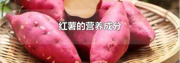 红薯的营养成分