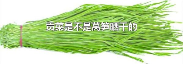 贡菜是不是莴笋晒干的