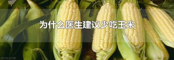 为什么医生建议少吃玉米