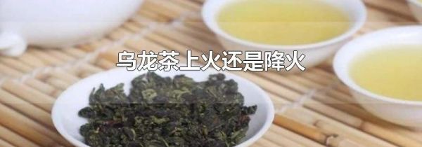 乌龙茶上火还是降火