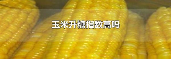 玉米升糖指数高吗