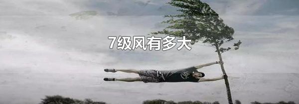 7级风有多大