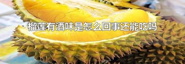 榴莲有酒味是怎么回事还能吃吗