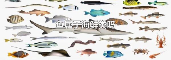 鱼属于海鲜类吗
