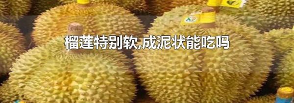 榴莲特别软,成泥状能吃吗