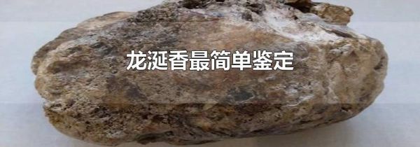 龙涎香最简单鉴定