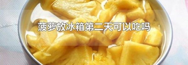 菠萝放冰箱第二天可以吃吗