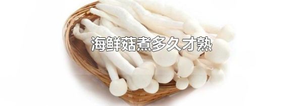 海鲜菇煮多久才熟