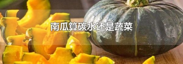 南瓜算碳水还是蔬菜