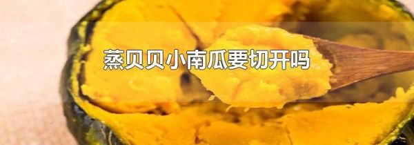 蒸贝贝小南瓜要切开吗