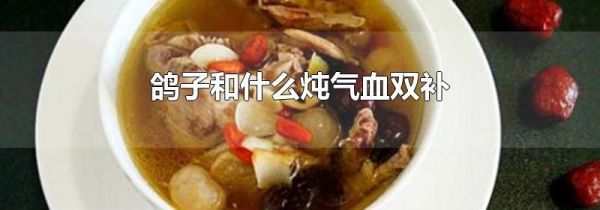 鸽子和什么炖气血双补