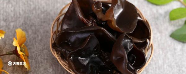 海参怎么发最好方法 如何泡发海参