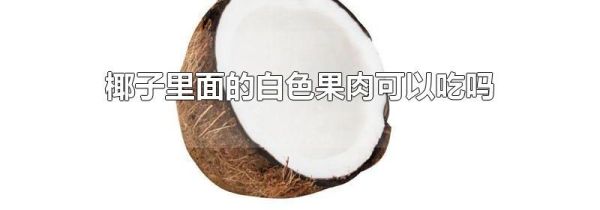 椰子里面的白色果肉可以吃吗
