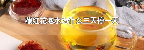 藏红花泡水为什么三天停一天