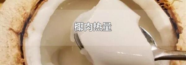 椰肉热量
