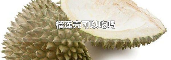 榴莲壳可以吃吗