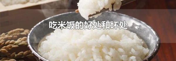 吃米饭的好处和坏处