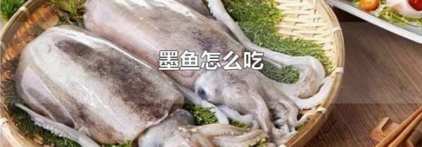 墨鱼怎么吃
