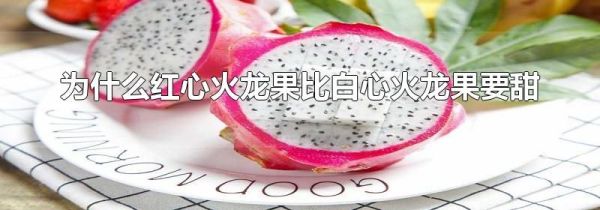 为什么红心火龙果比白心火龙果要甜