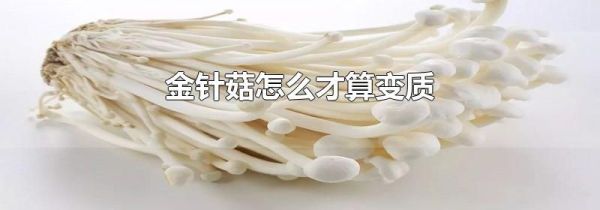 金针菇怎么才算变质