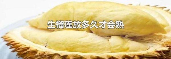 生榴莲放多久才会熟