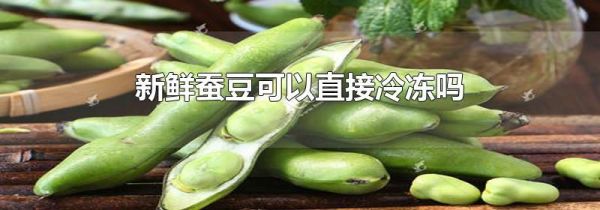 新鲜蚕豆可以直接冷冻吗