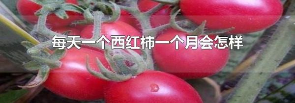 每天一个西红柿一个月会怎样