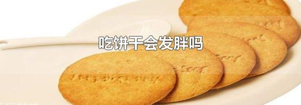 吃饼干会发胖吗
