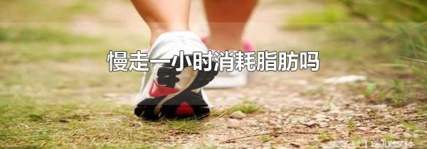 慢走一小时消耗脂肪吗