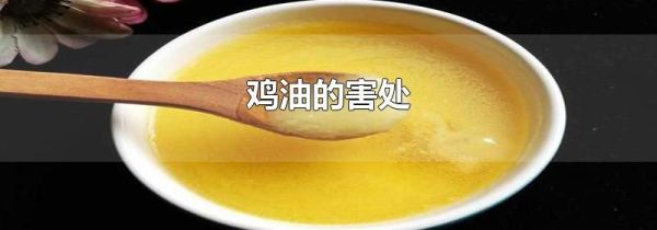 鸡油的害处