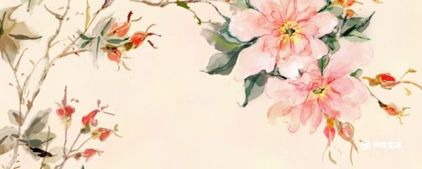 蓝桉什么意思 蓝桉的意思