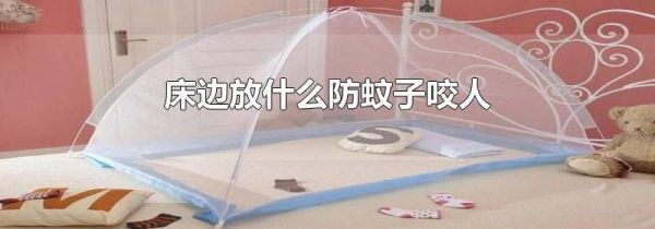 床边放什么防蚊子咬人