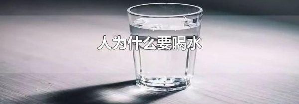 人为什么要喝水