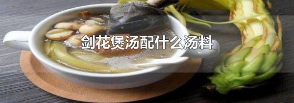 剑花煲汤配什么汤料