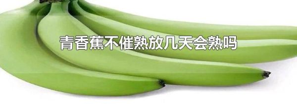 青香蕉不催熟放几天会熟吗