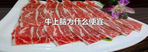 牛上脑为什么便宜