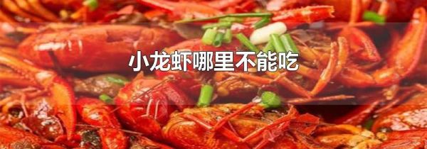 小龙虾哪里不能吃