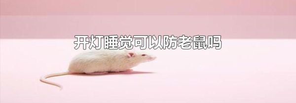 开灯睡觉可以防老鼠吗