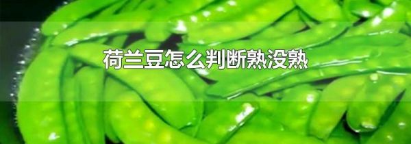 荷兰豆怎么判断熟没熟