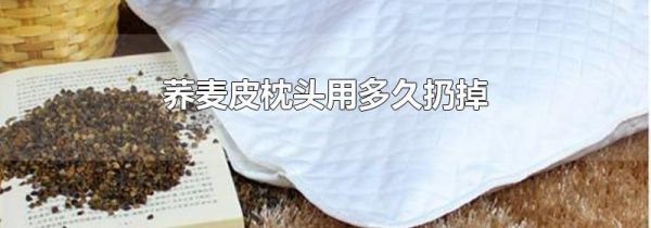 荞麦皮枕头用多久扔掉