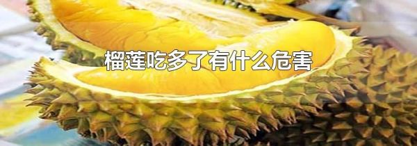 榴莲吃多了有什么危害