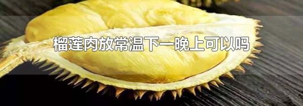 榴莲肉放常温下一晚上可以吗